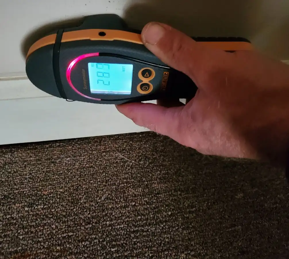 Moisture detection at baseboard during Storm Damage Restoration in Pacific